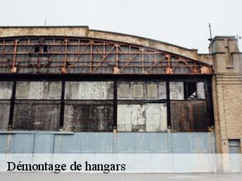 Démontage de hangars  95510