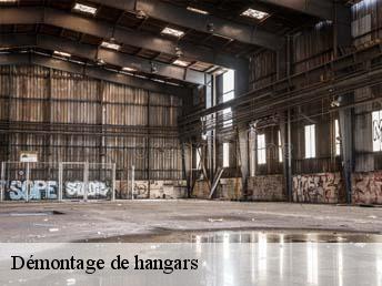 Démontage de hangars