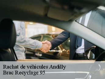 Rachat de véhicules  andilly-95580 Brac Recyclage 95